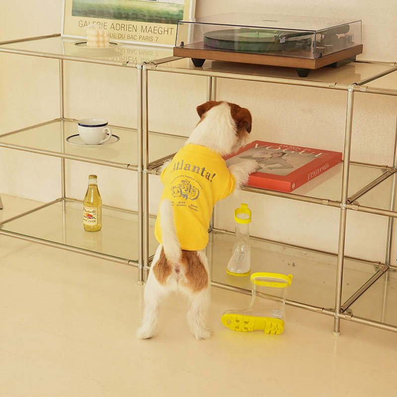 퍼피갤러리 아틀란타 강아지 간절기 맨투맨 옐로우