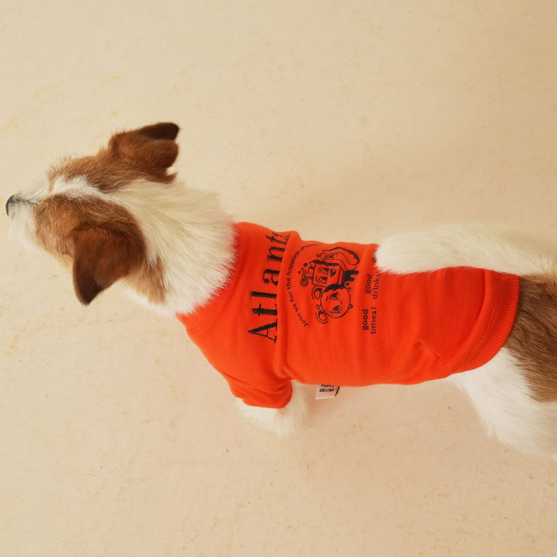 퍼피갤러리 아틀란타 강아지 간절기 맨투맨 오렌지