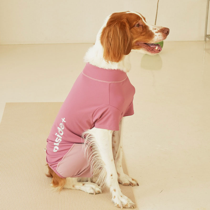 퍼피갤러리 올데이 트랙 수트 강아지 대형견 옷 핑크